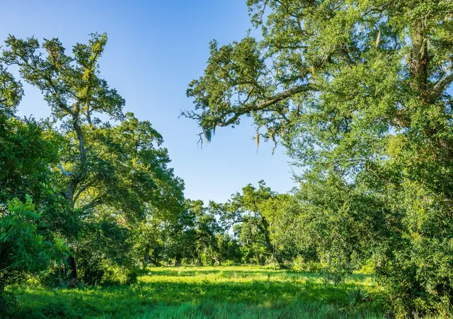 Photo 2 of Land for sale at 19329 Cr 319, Brazoria, TX 77422 | MLS# 20372554 | Listing updated on 2026-08-27