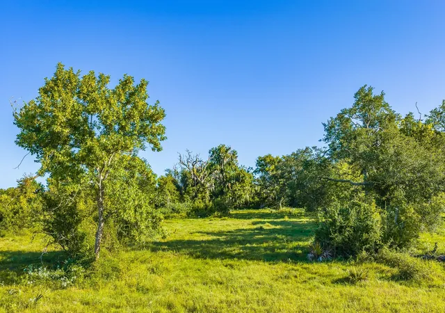 Photo 3 of Land for sale at 19329 Cr 319, Brazoria, TX 77422 | MLS# 20372554 | Listing updated on 2026-08-27