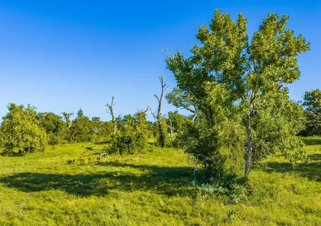 Photo 3 of Land for sale at 19329 Cr 319, Brazoria, TX 77422 | MLS# 20372554 | Listing updated on 2026-08-27