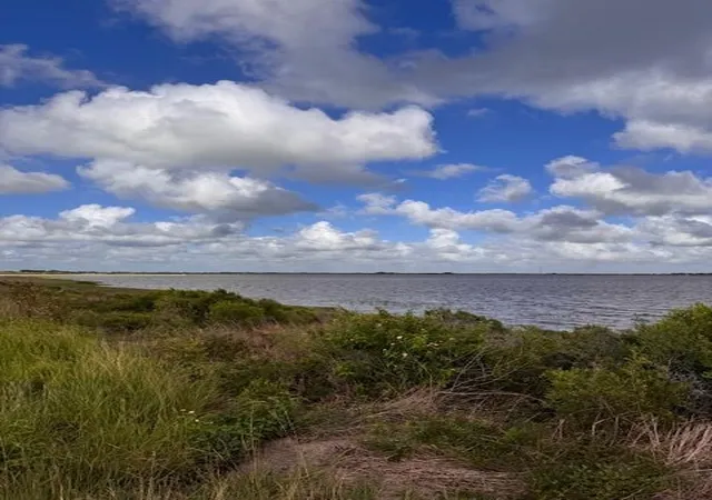 1st image of 0 Hwy 35, Palacios, TX 77465 | MLS# 39562383