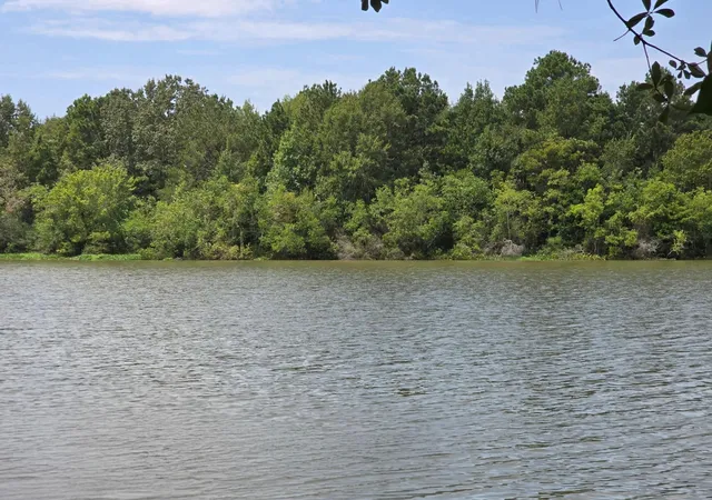 Photo 3 of Land for sale at 142 Idylwood Dr, Goodrich, TX 77335 | MLS# 10878646 | Listing updated on 2026-08-25