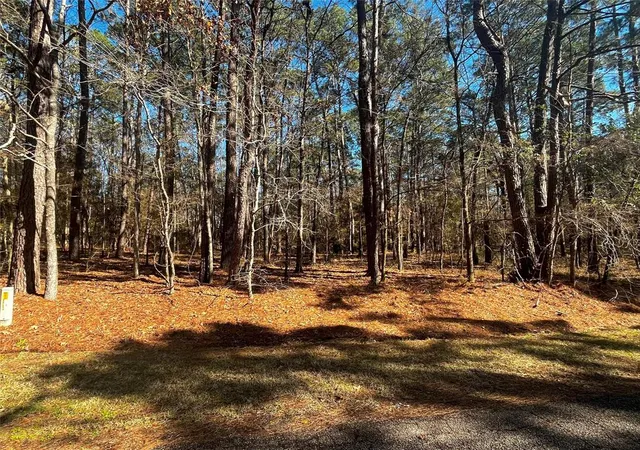 Photo 3 of Land for sale at 55 Green Tree Dr, Coldspring, TX 77331 | MLS# 50179119 | Listing updated on 2026-07-01