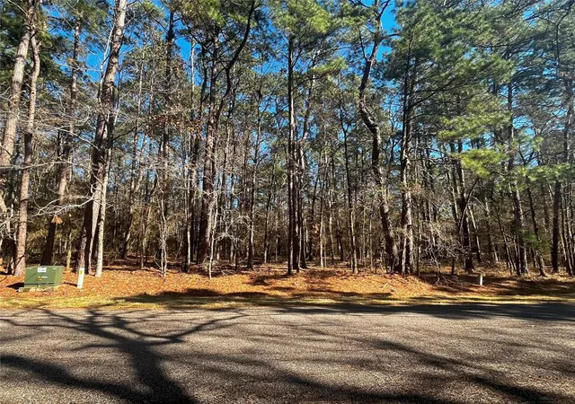Photo 3 of Land for sale at 55 Green Tree Dr, Coldspring, TX 77331 | MLS# 50179119 | Listing updated on 2026-07-01