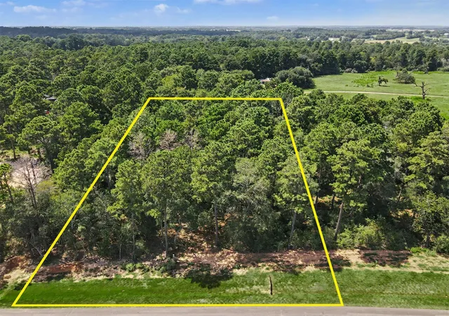 Photo 2 of Land for sale at 9726 Oakland Park Blvd, Plantersville, TX 77363 | MLS# 21977429 | Listing updated on 2026-08-05