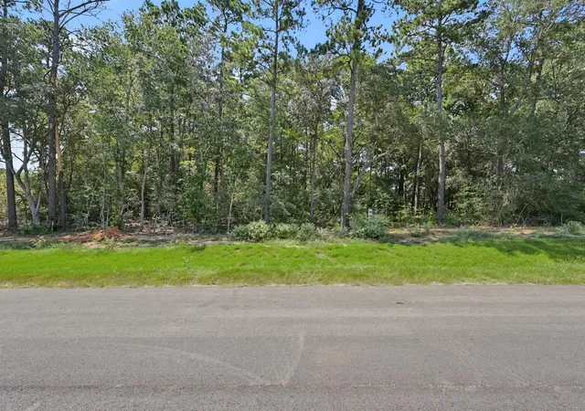 Photo 2 of Land for sale at 9726 Oakland Park Blvd, Plantersville, TX 77363 | MLS# 21977429 | Listing updated on 2026-08-05