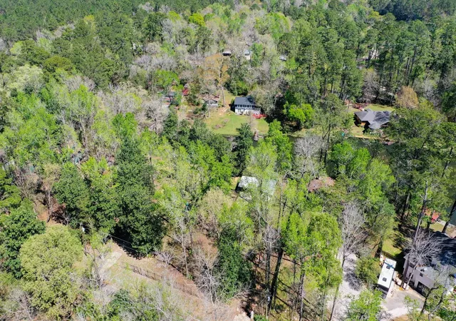 5th image of 412 Driftwood Dr, Goodrich, TX 77335 | MLS# 35701667
