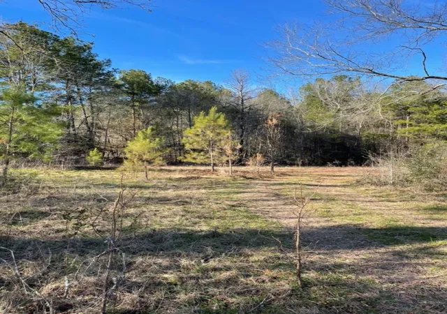 1st image of Tbd Meekins Rd, Cleveland, TX 77328 | MLS# 11924125