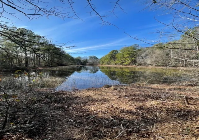 2nd image of Tbd Meekins Rd, Cleveland, TX 77328 | MLS# 11924125