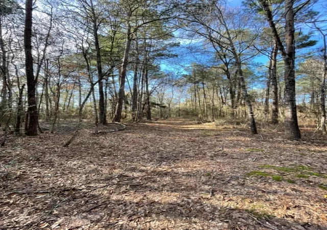 Photo 3 of Land for sale at Tbd Meekins Rd, Cleveland, TX 77328 | MLS# 11924125 | Listing updated on 2026-08-31