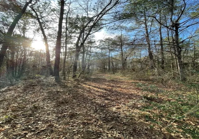 Photo 4 of Land for sale at Tbd Meekins Rd, Cleveland, TX 77328 | MLS# 11924125 | Listing updated on 2026-09-28
