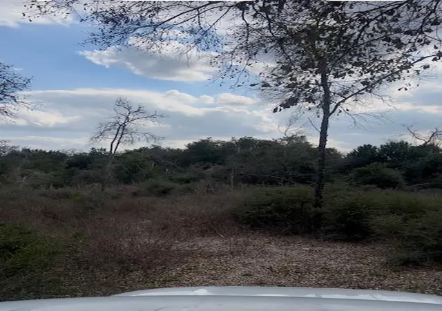 2nd image of 46833 Old Houston Hwy, Hempstead, TX 77445 | MLS# 17142844