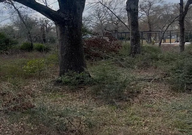 3rd image of 46833 Old Houston Hwy, Hempstead, TX 77445 | MLS# 17142844