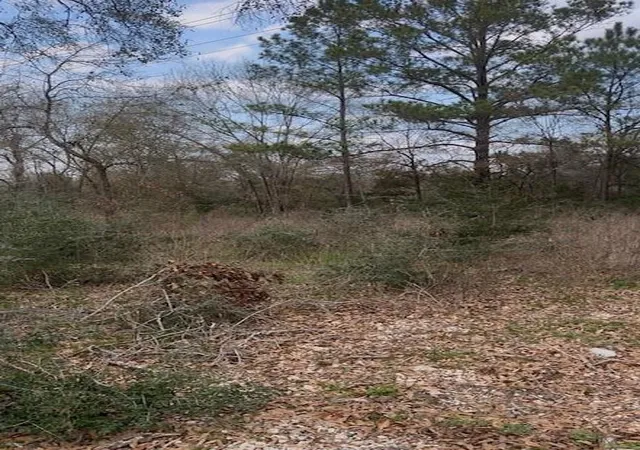 7th image of 46833 Old Houston Hwy, Hempstead, TX 77445 | MLS# 17142844