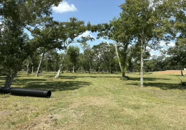 Photo 3 of Land for sale at 0 Fm 2611, Brazoria, TX 77422 | MLS# 61599058 | Listing updated on 2026-08-21