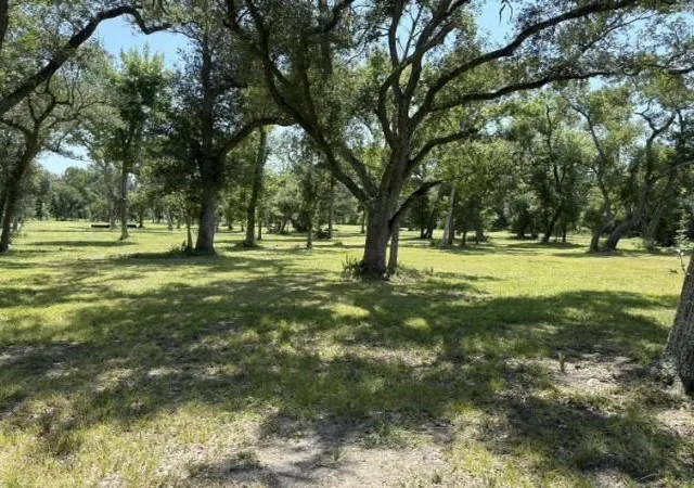 Photo 3 of Land for sale at 0 Fm 2611, Brazoria, TX 77422 | MLS# 61599058 | Listing updated on 2026-08-21