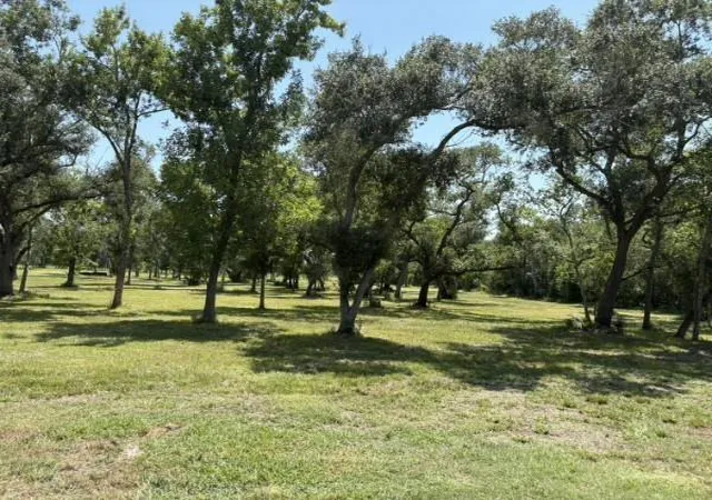 8th image of 0 Fm 2611, Brazoria, TX 77422 | MLS# 61599058