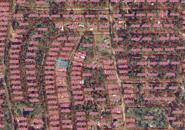 Photo 2 of Land for sale at 13096 Scarlet Oak, Plantersville, TX 77363 | MLS# 10863556 | Listing updated on 2026-07-21