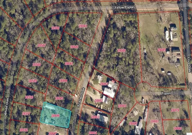 Photo 4 of Land for sale at 13096 Scarlet Oak, Plantersville, TX 77363 | MLS# 10863556 | Listing updated on 2026-07-21