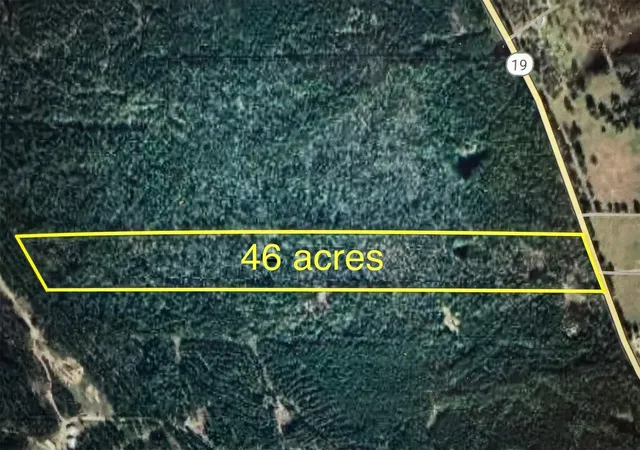 Photo 1 of Land for sale at 4109 N State Hwy 19, Trinity, TX 75862 | MLS# 92014933 | Listing updated on 2026-05-16