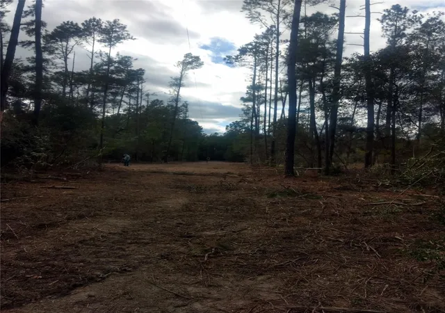 Photo 6 of Land for sale at 4109 N State Hwy 19, Trinity, TX 75862 | MLS# 92014933 | Listing updated on 2026-05-16