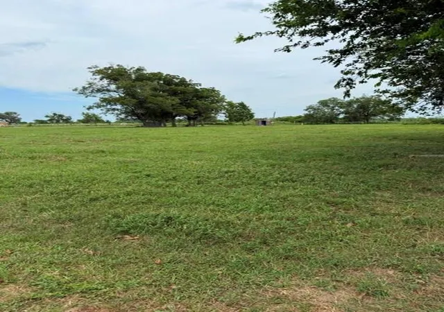 Photo 4 of Land for sale at 2235 County Rd 18, Damon, TX 77430 | MLS# 40434370 | Listing updated on 2026-08-20