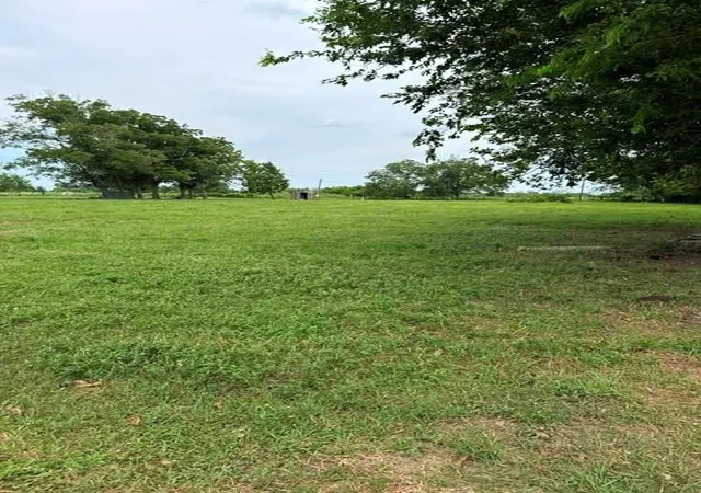 6th image of 2235 County Road 18, Damon, TX 77430 | MLS# 40434370