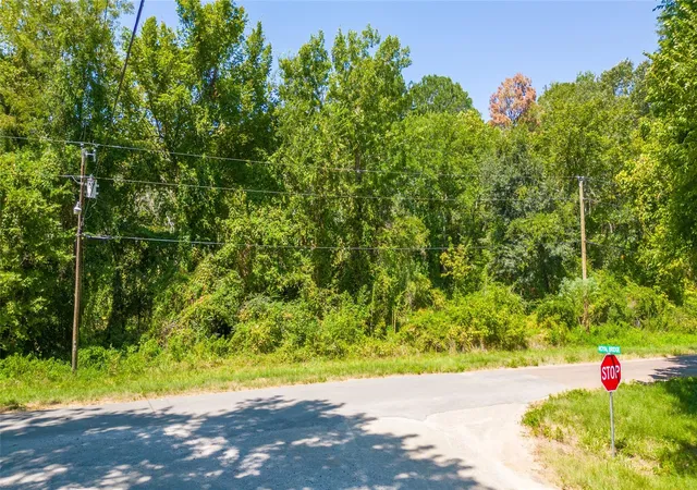 Photo 3 of Land for sale at Tbd Royal Crk Rd, Conroe, TX 77303 | MLS# 14792502 | Listing updated on 2026-04-24