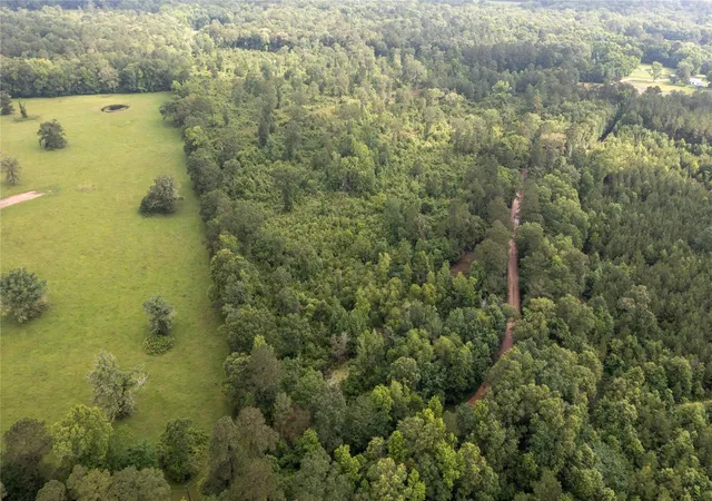 20th image of 0 Hardy Bottom Rd, Huntsville, TX 77340 | MLS# 41507053