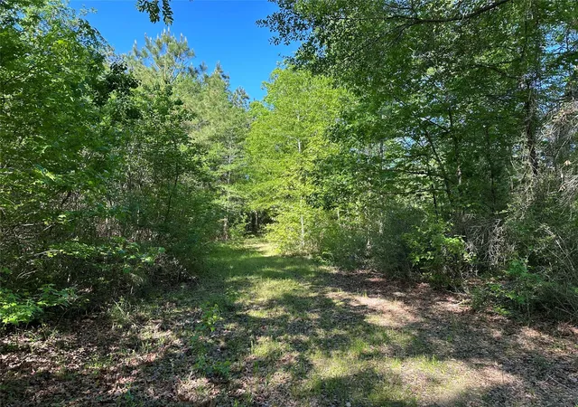 2nd image of 0 Hardy Bottom Rd, Huntsville, TX 77340 | MLS# 41507053