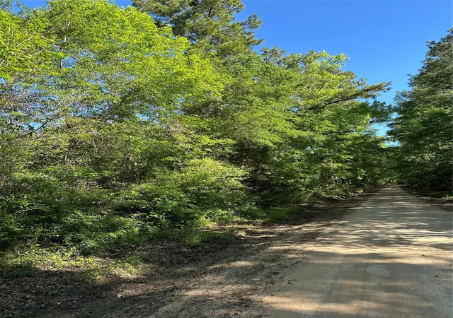3rd image of 0 Hardy Bottom Rd, Huntsville, TX 77340 | MLS# 41507053