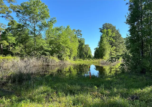 5th image of 0 Hardy Bottom Rd, Huntsville, TX 77340 | MLS# 41507053