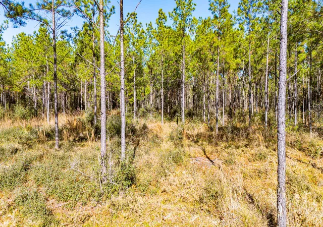 4th image of 022 Magnolia Ranch Rd, Onalaska, TX 77360 | MLS# 94279581