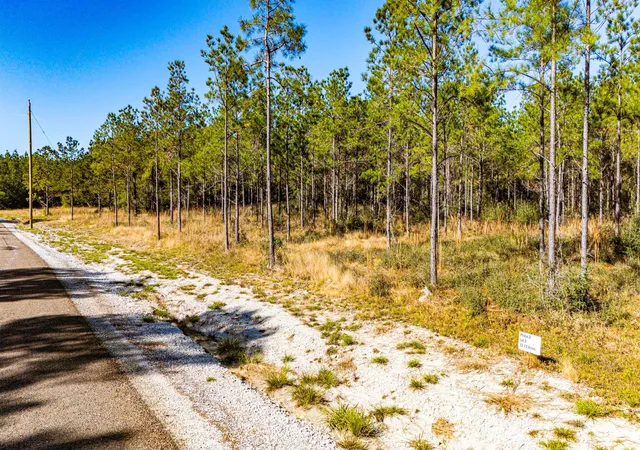 5th image of 022 Magnolia Ranch Rd, Onalaska, TX 77360 | MLS# 94279581