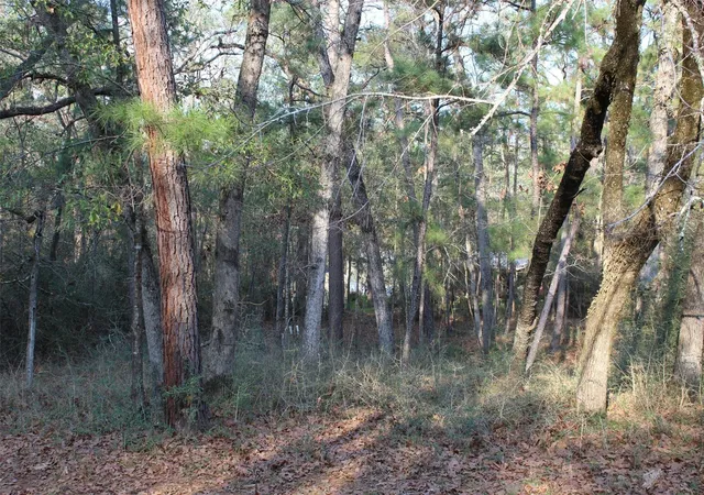 Photo 1 of Land for sale at 327 Coral Gables, Trinity, TX 75862 | MLS# 32141509 | Listing updated on 2025-08-08