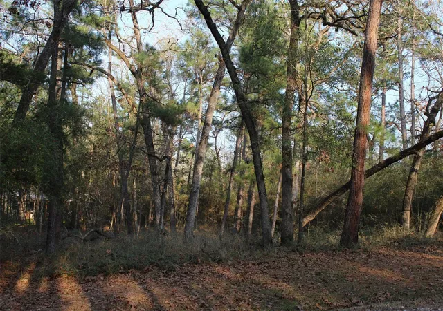Photo 2 of Land for sale at 327 Coral Gables, Trinity, TX 75862 | MLS# 32141509 | Listing updated on 2025-08-08
