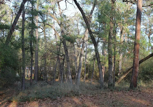 Photo 3 of Land for sale at 327 Coral Gables, Trinity, TX 75862 | MLS# 32141509 | Listing updated on 2025-08-08