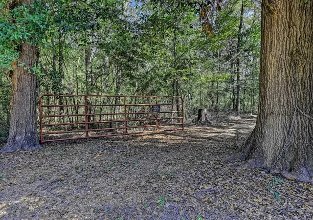 Photo 2 of Land for sale at Tbd Bryan Ln, Willis, TX 77378 | MLS# 93882331 | Listing updated on 2026-07-07