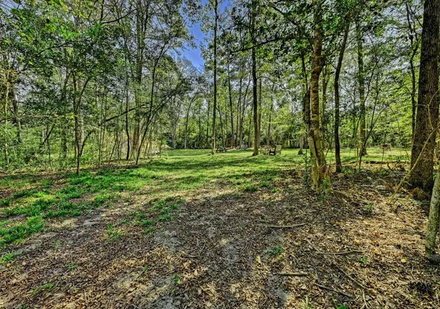 Photo 3 of Land for sale at Tbd Bryan Ln, Willis, TX 77378 | MLS# 93882331 | Listing updated on 2026-07-07