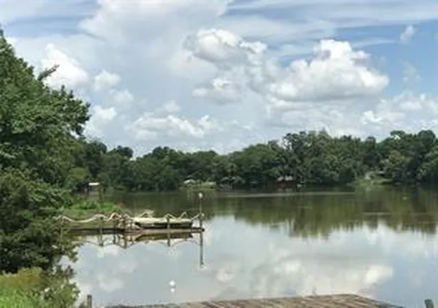 Photo 3 of Land for sale at 111 County Rd 1333, Liberty, TX 77575 | MLS# 98771289 | Listing updated on 2026-06-11