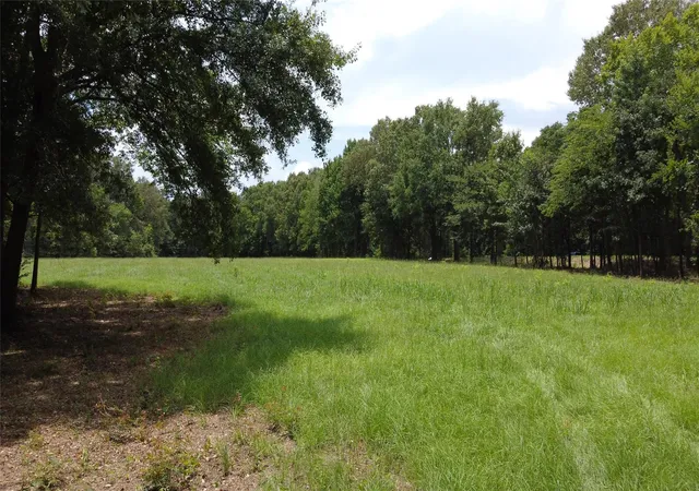 Homes for sale in Garrison, TX | Tbd Hwy 59, Garrison, TX 75946 | MLS# 51889142