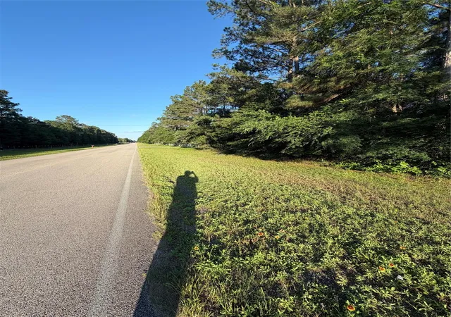 2nd image of 0 Reids Prairie Rd, Waller, TX 77484 | MLS# 71542871