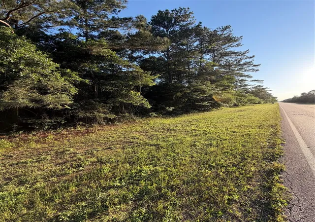 3rd image of 0 Reids Prairie Rd, Waller, TX 77484 | MLS# 71542871