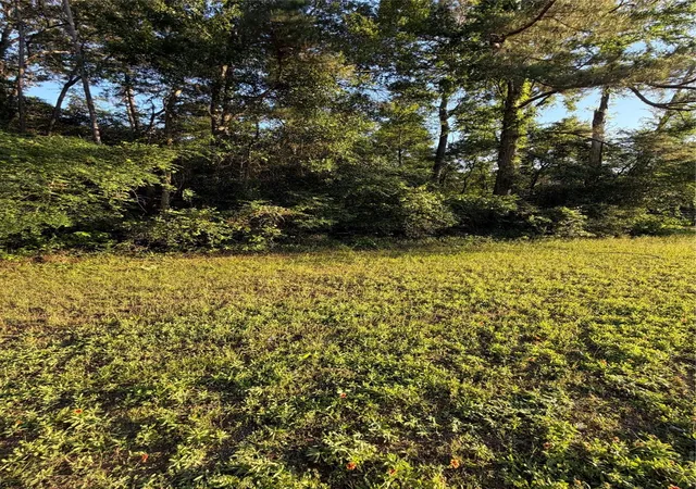 4th image of 0 Reids Prairie Rd, Waller, TX 77484 | MLS# 71542871