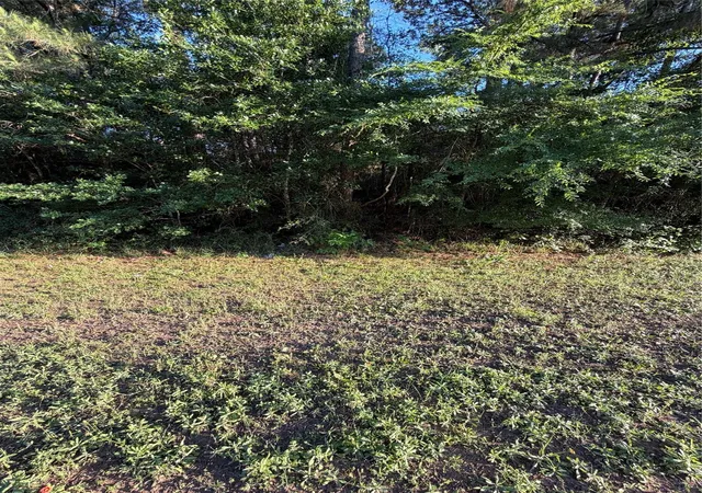 5th image of 0 Reids Prairie Rd, Waller, TX 77484 | MLS# 71542871
