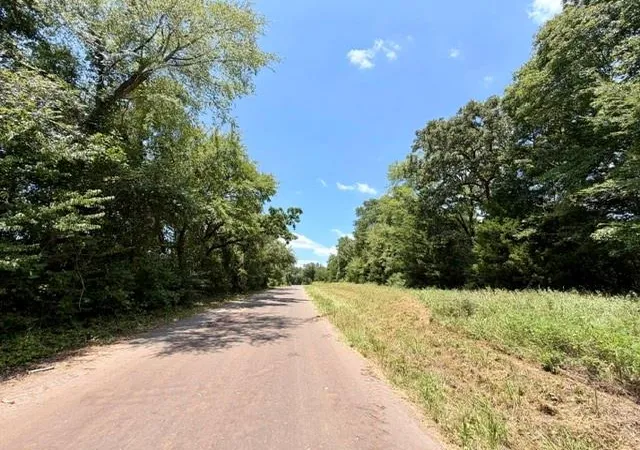 Photo 25 of Land for sale at 490 Cr 261, Oakwood, TX 75855 | MLS# 61227009 | Listing updated on 2026-08-04