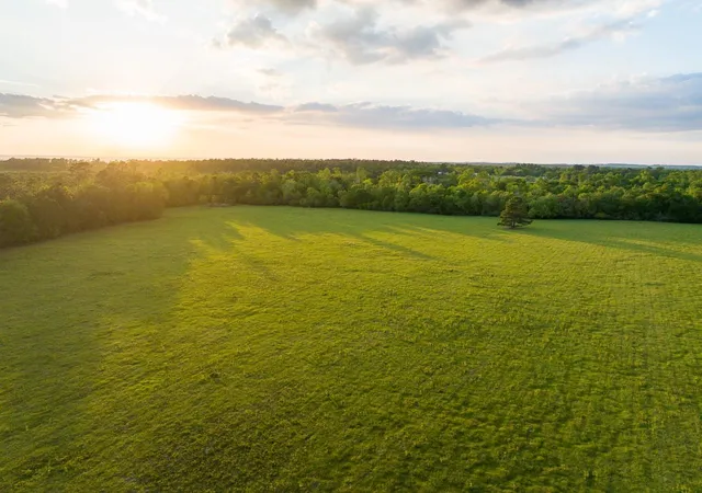 33rd image of 000 Fm 1696, Huntsville, TX 77320 | MLS# 98352809