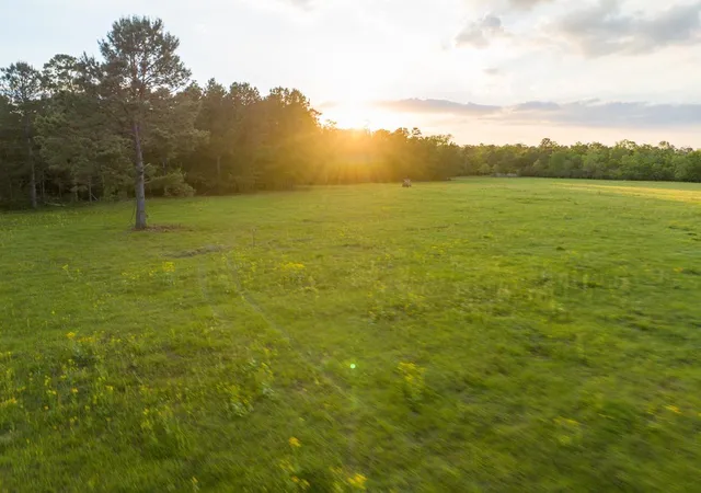 4th image of 000 Fm 1696, Huntsville, TX 77320 | MLS# 98352809