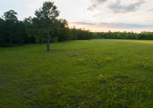 5th image of 000 Fm 1696, Huntsville, TX 77320 | MLS# 98352809