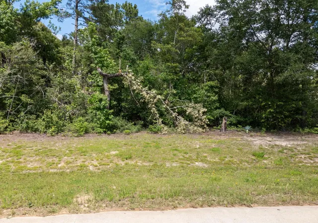 Photo 2 of Land for sale at 7307 Barret St, Montgomery, TX 77316 | MLS# 28815838 | Listing updated on 2026-06-13