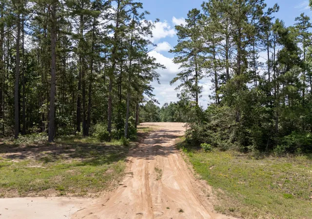 Photo 6 of Land for sale at 7307 Barret St, Montgomery, TX 77316 | MLS# 28815838 | Listing updated on 2026-06-13